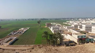 قرية منياوية أكلها النمل الأبيض.. كيف أنقذها عبد الناصر من الفناء؟ (صور)