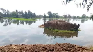 تحذير بالمنوفية: اخلوا أراضي النيل فورًا لخطر الفيضان