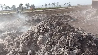 بالصور ـ السيطرة على حريق بشونة قطن في قرية بأسيوط 