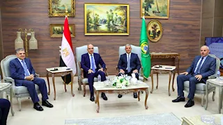 ‬وزير الري ومحافظ الإسماعيلية يبحثان تعزيز الأمن المائي (صور)