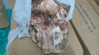  تموين الأقصر: ضبط ربع طن لحوم ودواجن مجمدة منتهية الصلاحية (صور)