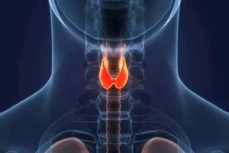 هل هناك علاقة بين قصور الغدة الدرقية والأنيميا؟.. طبيب يوضح