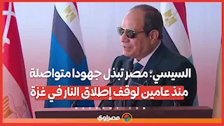 السيسي: مصر تبذل جهودا متواصلة منذ عامين لوقف إطلاق النار في غزة