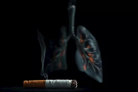 بعد الإقلاع عن التدخين- 4 أطعمة لإصلاح تلف الرئة