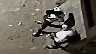 الداخلية تكشف ملابسات فيديو ترويج مخدرات بالشارع وتضبط المتهمين