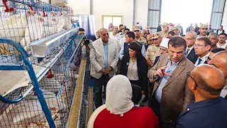 مصر تُعزز تنمية سيناء.. 2122 منتفعًا من المشروعات الزراعية المتكاملة (صور)