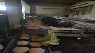  تحرير 9 محاضر في حملة تفتيشية على 25 مخبزًا بالمنصورة