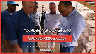 كشف أثري جديد في “صان الحجر” يكشف عن 225 تمثالا جنائزياً