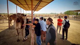 بحوث جنوب سيناء تستقبل وفودًا طلابية لتعزيز التدريب العملي في الصحراء (صور)