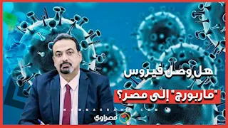 هل وصل فيروس "ماربورج" إلى مصر؟
