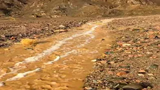 "سيل مدسوس".. الأمطار تضرب جنوب سيناء وحالة طوارئ قصوى تحسباً للأسوأ