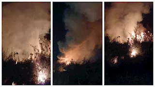 حريق هائل في "بوص" جوار سكك حديد تلا (صور)