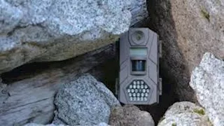 مخرج يترك كاميرا في كهف لمدة 10 سنوات.. لن تصدق ماذا وجد؟ (فيديو)