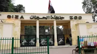 جامعة حلوان: تشكيل لجنة استشارية لترميم الجداريات الأثرية بسور حديقة الحيوان