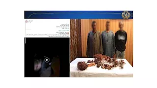 بعد تداول فيديو.. الداخلية تكشف سرقة كابلات كهربائية بالجيزة