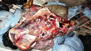 بالصور- ضبط لحوم فاسدة وتحرير 6 محاضر مخالفة فى حملة لبيطري أسوان