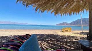 بيوت من النخيل والسعف.. رحلة ساحرة داخل قرية الصيادين بجنوب سيناء (صور)