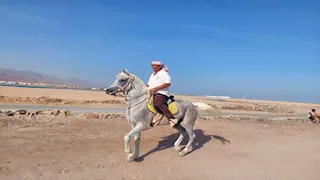 جاء لقضاء 4 أيام فقرر البقاء 32 عاماً.. حكاية "أبو موسى" أشهر خيال على شواطئ دهب