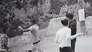 محامي المتهم في واقعة فيديو بتر ذراع سائق بميت غمر يفجر مفاجأة جديدة