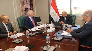 وزير الكهرباء يبحث خطوات إنشاء محطتي طاقة شمسية وهيدروجين أخضر بسيناء