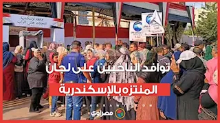 27 مرشح على مقعد واحد.. توافد الناخبين على لجان المنتزه بالإسكندرية