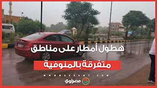 هطول أمطار على مناطق متفرقة بالمنوفية