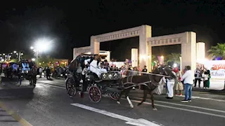  ضوابط وعقوبات جديدة لتنظيم عربات "الحنطور" في أسوان  