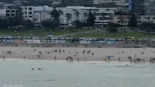 "هجوم إرهابي".. السلطة الفلسطينية تدين إطلاق النار على الجالية اليهودية في سيدني