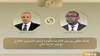 مصر تؤكد دعمها لجهود مالي في مكافحة الإرهاب وتعزيز الاستقرار بالساحل