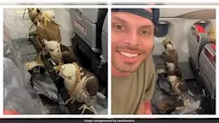 صدمة وذهول.. رجل يوثق مشهدا نادرا لـ صقور على متن رحلة جوية (فيديو)