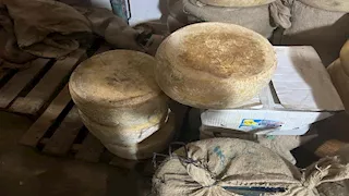 ضبط 20.6 طن أجبان فاسدة في حملة تموينية بالإسكندرية (صور)