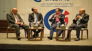 وزير المالية يدعو الشركاء المحليين والدوليين لتوسيع أنشطتهم الاستثمارية فى مصر 