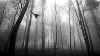 25 صورة مذهلة تكشف عن عوالم أخرى في أعمال فرانك ماتشالوفسكي