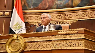 نائب بالشيوخ يتهم الحكومة باحتكار المياه والكهرباء ويرفض تعديل قانون الكهرباء