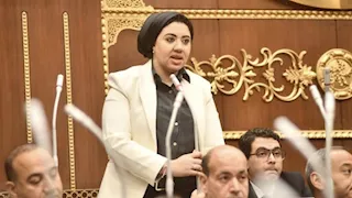 النائبة أميرة صابر تكشف أسباب اعتراضها على قانون الكهرباء