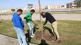صور.. انطلاق المرحلة الرابعة من مبادرة "100 مليون شجرة" بالسويس