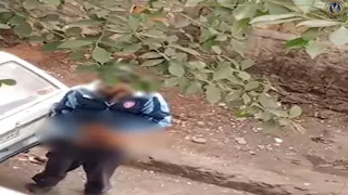 الداخلية توضح حقيقة فيديو الأفعال المخالفة للآداب أمام مدرسة بالقاهرة