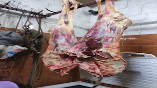 "الزراعة": ضبط 135 طن لحوم مخالفة في 15 يوما.. صور