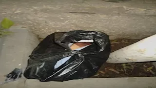 عمره 24 ساعة.. العثور على رضيع داخل كيس أسود مجهول النسب في قنا- صور