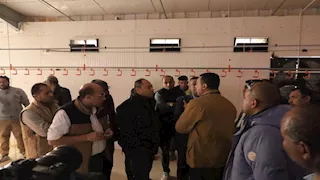 رئيس هيئة تنمية الصعيد يتفقد مجمعات الدواجن والصناعات الحرفية بأسوان