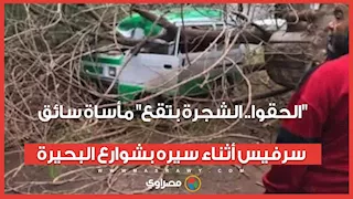 "الحقوا.. الشجرة بتقع" مأساة سائق سرفيس أثناء سيره بشوارع البحيرة