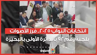 انتخابات النواب 2025.. فرز الأصوات بلجنة رقم 92 بالدائرة الأولى بالبحيرة