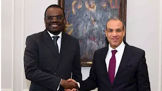 وزير الخارجية يؤكد دعم مصر لتعزيز منظومة الصحة والأمن الدوائي في أفريقيا