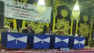  انتخابات النواب 2025.. إعلان الحصر العددي للدائرة الثامنة في البحيرة 