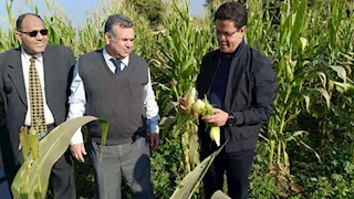 رئيس جامعة بنها يتفقد الوحدات الإنتاجية بكلية الزراعة بمشتهر 