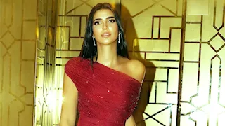 ريم سامي تودع عام 2025 بفستان أحمر ساحر وأنيق.. صور