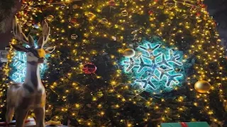 بنسبة إشغال 80%.. حفلات رأس السنة تُنعش فنادق الإسكندرية