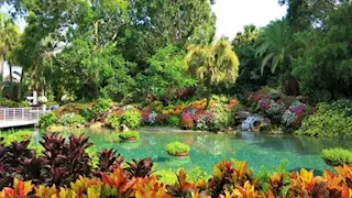 الشيخ خالد الجندي يوضح سر ذكر “ولدًا” في قصة صاحب الجنتين