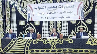 انتخابات النواب 2025.. إعلان الحصر العددي للدائرة الرابعة في سوهاج 