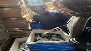 حملات مكثفة بالدقهلية.. ضبط لحوم ودواجن غير صالحة للاستهلاك (صور)